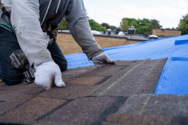 Gutter Installation and Roofing in Oneida, TN