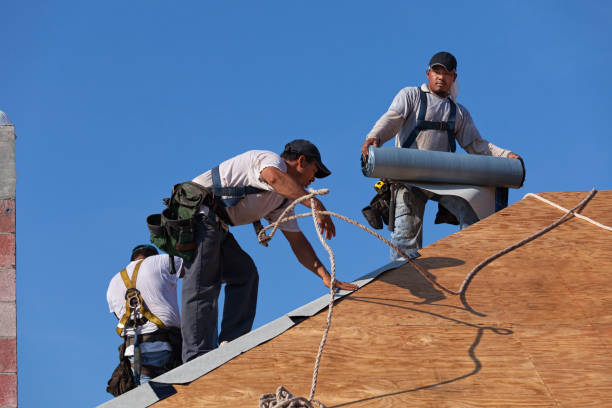 Best Flat Roof Repair Services  in Oneida, TN