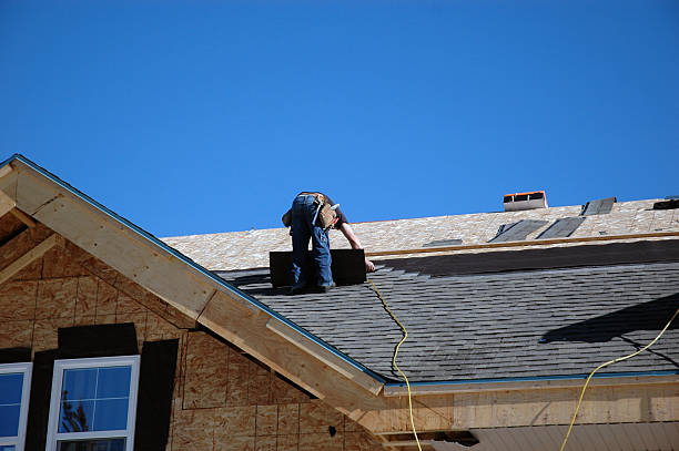 Best Roof Gutter Cleaning  in Oneida, TN