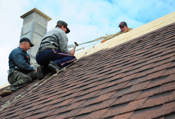 Best Gutter Installation and Roofing  in Oneida, TN