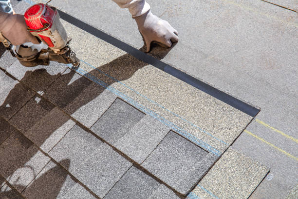 Best Shingle Roofing Installation  in Oneida, TN