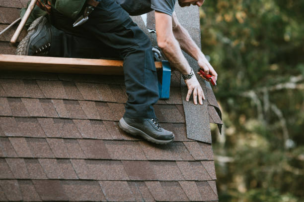 Roof Gutter Cleaning in Oneida, TN
